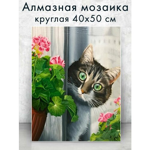 Алмазная мозаика (круг) Котик в цветах 40х50 см