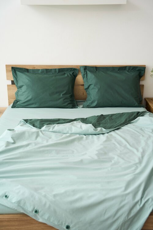 Двусторонний 1,5-спальный комплект постельного белья Esthetic Home зеленый