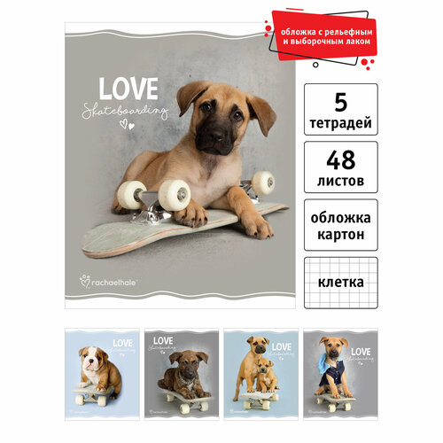 Тетрадь 48л, А5, клетка, на скрепке, Rachael Hale, 5 шт. RH77/5