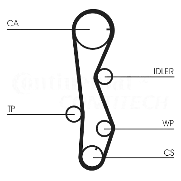 CONTITECH CT1099 (2431227000 / 2431227000S1 / 2431227000S2) ремень грм 123x280h\ Accent (Акцент) / Elantra (Элантра) / Getz (Гетц)