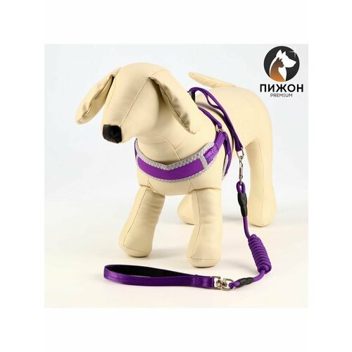 Комплект мягкая шлейка, круглый поводок 1х120 см с вертлюгом