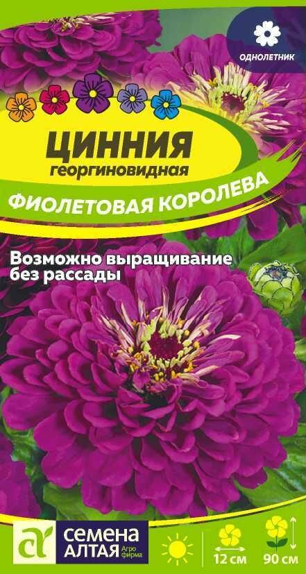 Цинния Фиолетовая Королева георгиновидная 03г /СемАлт