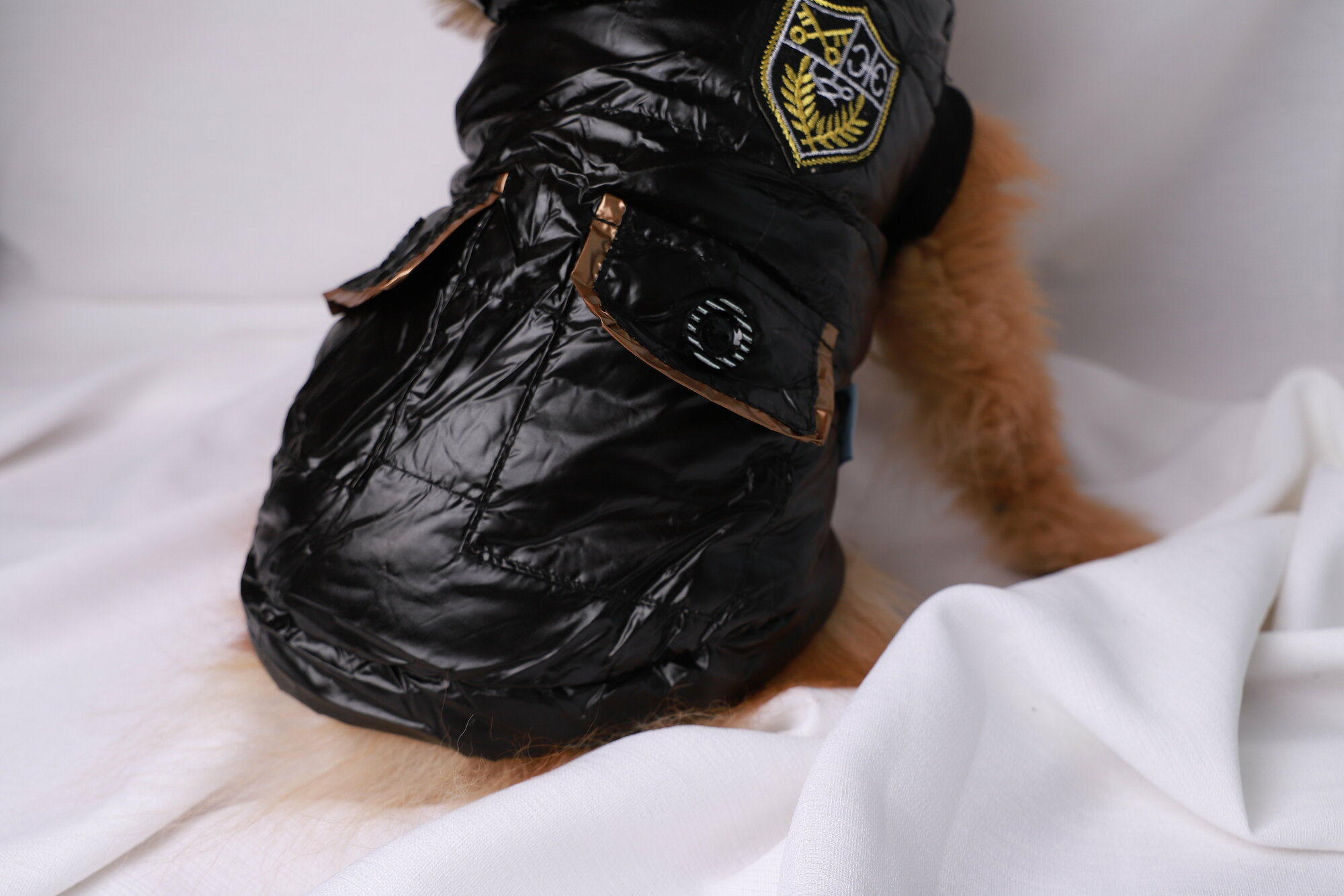 Куртка для собак черного цвета (размер M ) - фотография № 9