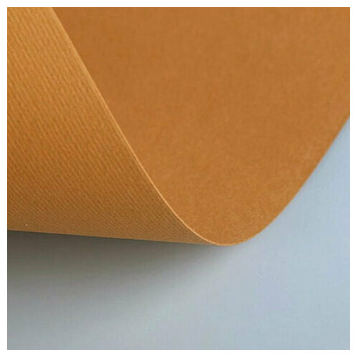 Бумага (картон) для творчества (1 лист) Fabriano Elle Erre А2+ 500х700 мм, 220 г/м2, светло-коричневый, 42450703, 20 штук
