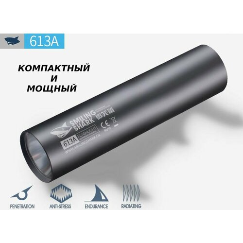 фото Фонарик мини нет бренда