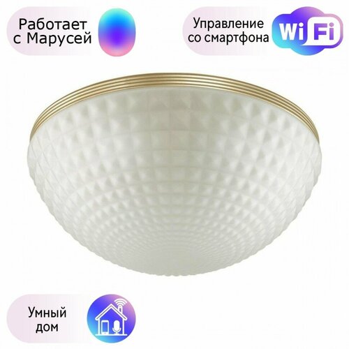 Потолочный светильник Odeon Light Malaga с поддержкой Маруся 49364C-М 11496₽