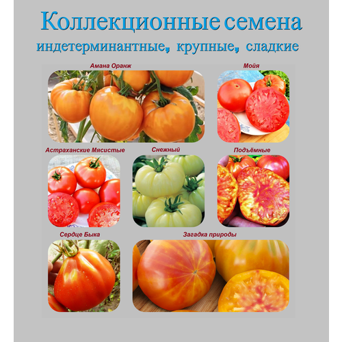 Набор коллекционных семян индетерминантных крупных томатов набор 20 сортов коллекционных семян индетерминантных томатов