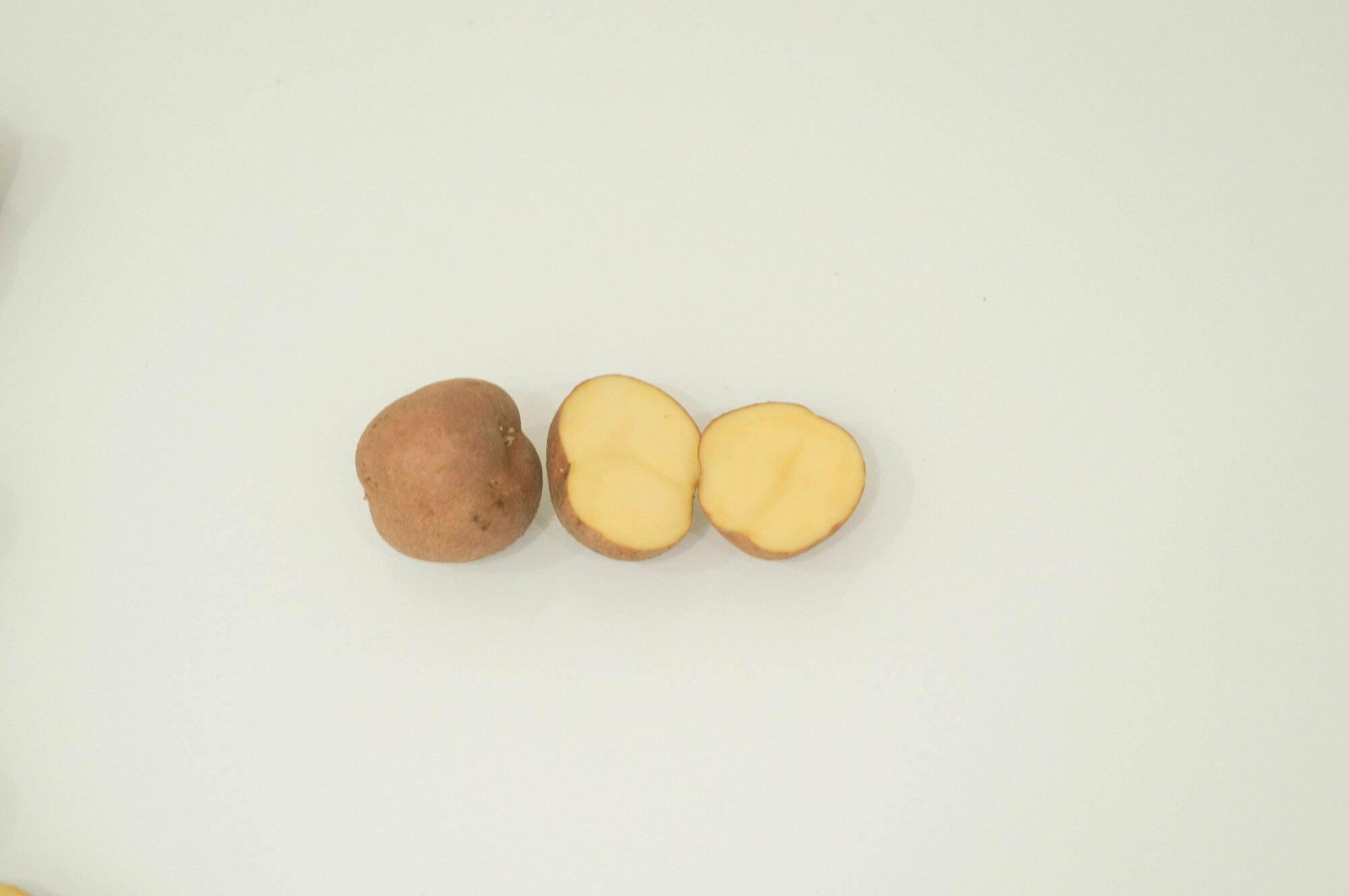 Семенной картофель сорта "Беллароза" 5кг, клубни