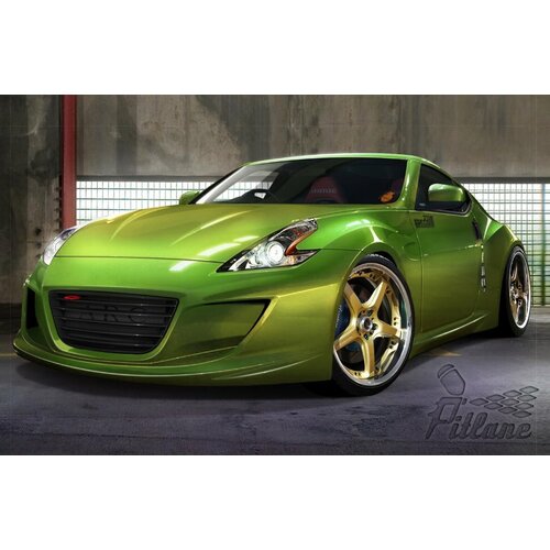 Хамелеон Forest Swamp, 10г