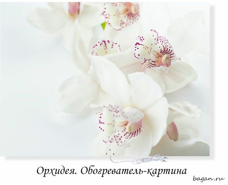 Инфракрасный обогреватель-картина РЭН5 "Орхидея", 0,5 кВт - фотография № 3