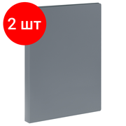 Комплект 2 шт, Папка с 60 вкладышами СТАММ А4, 21мм, 600мкм, пластик, серая