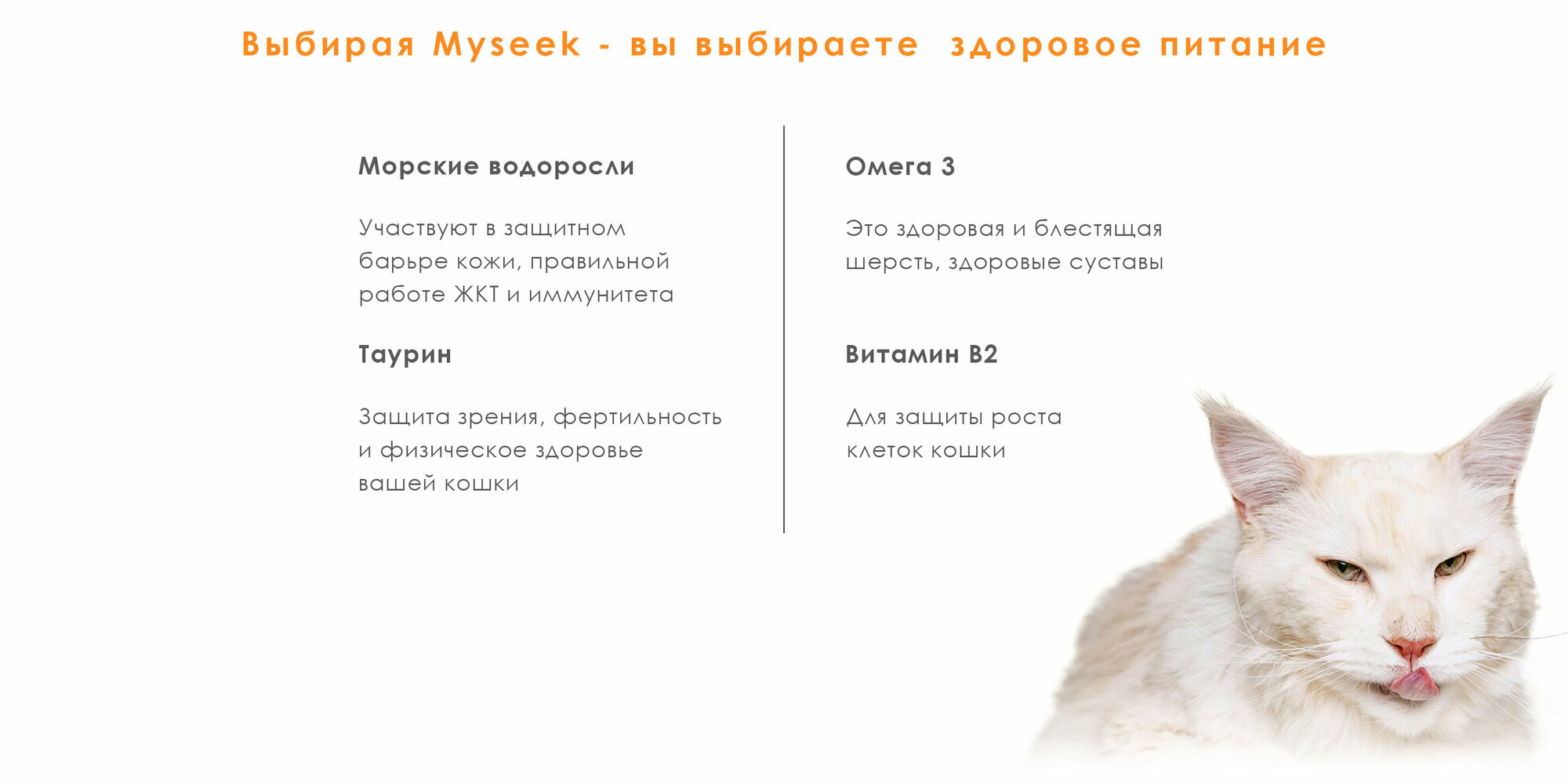 "Myseek лакомство для кошек "нежное пюре" с Лососем 10 шт х 15 г. - фотография № 10