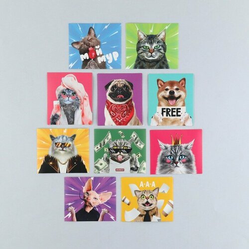 Наклейки набор Мур-мур 6 х 7 см 10 шт для дома 449₽