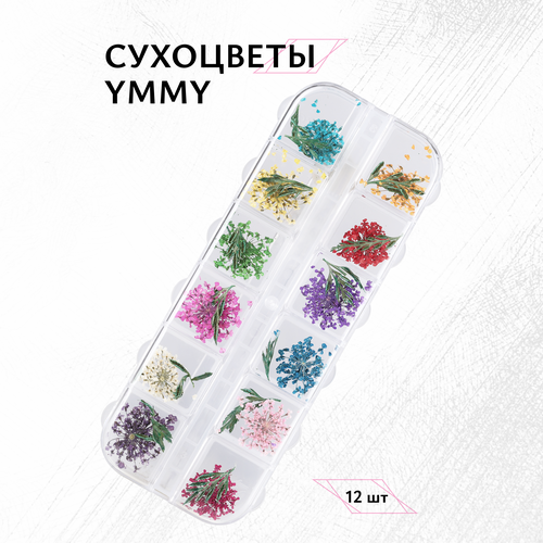 Набор сухоцветов YMMY Professional, 12 шт