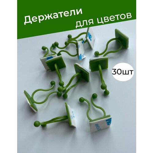 фото Клипсы держатели для растений самоклеящиеся опоры на стену