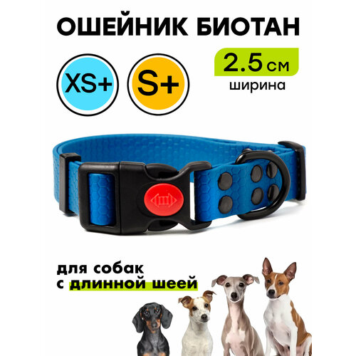 Ошейник из биотана 22-34 см (XS+), 25 мм, Woofy "Iron", для маленьких собак, водостойкий, синий