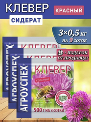 Семена сидерат "агроуспех" Клевер красный 3шт, натуральное, органическое удобрение