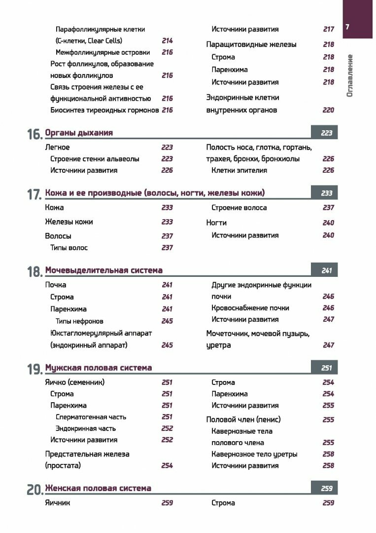Гистология в схемах и таблицах. Учебное пособие. Цветной атлас - фото №12