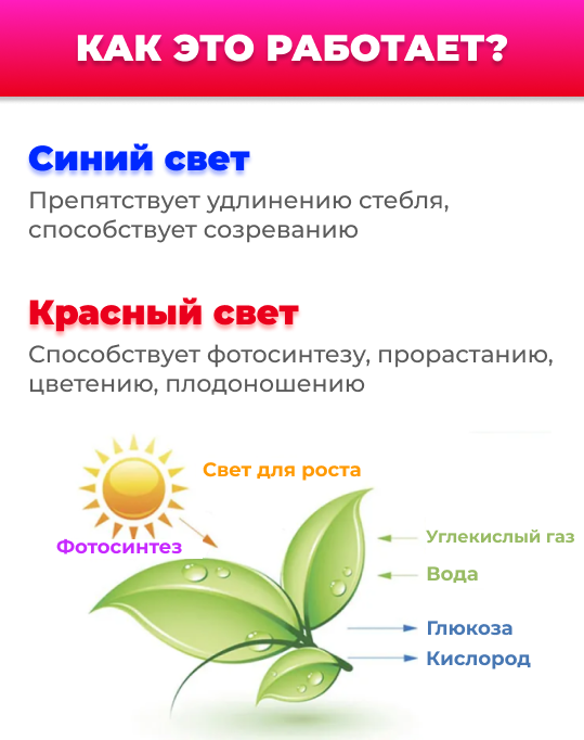 Фитолента для роста растений полного спектра, USB-фитолампа (3м, IP65)