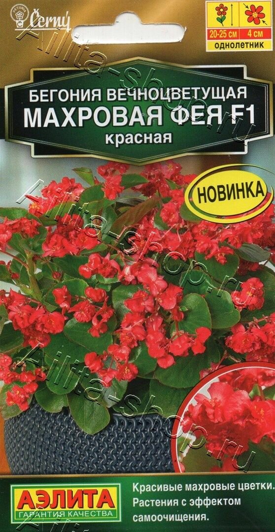 Семена Бегония Фея F1 вечноцветущая махровая красная 5шт. (Аэлита)