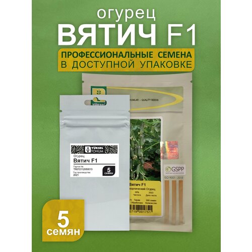 Огурец Вятич F1,5 семян