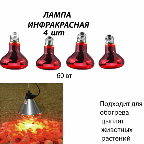 Лампа инфракрасная 4 шт для обогрева для лечения, для курятника, для растений, для птиц, для животных, для цыплят (60 Вт Е27)