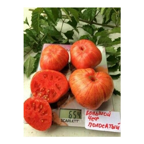 Коллекционные семена томата Большой Полосатый Шеф