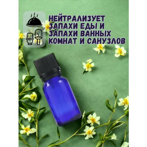 Аромамасло для дома Османтус 10 мл