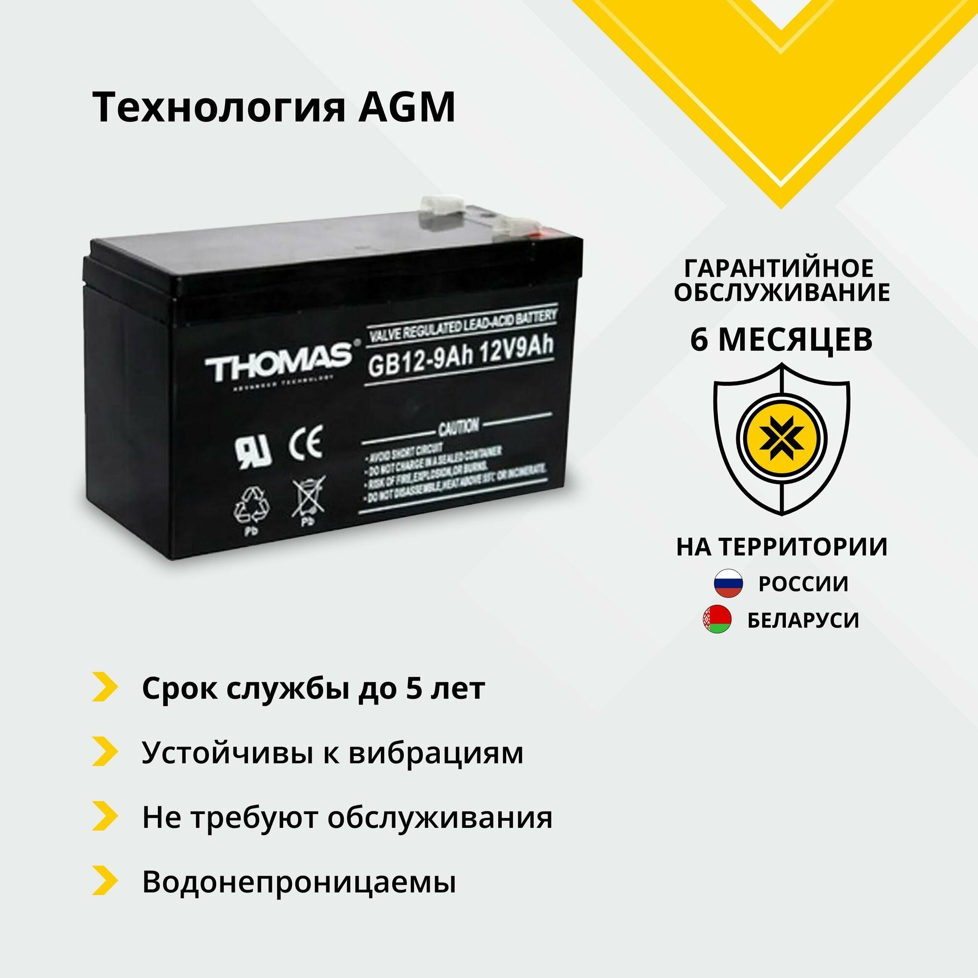 Аккумулятор для ибп 12v 9Ah Thomas F2/T2 акб для детского электромобиля эхолота насоса инвалидной коляски кассы