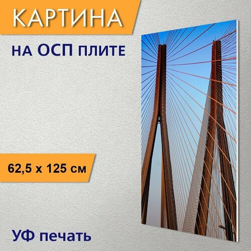 Диск DFC wp021 26 25