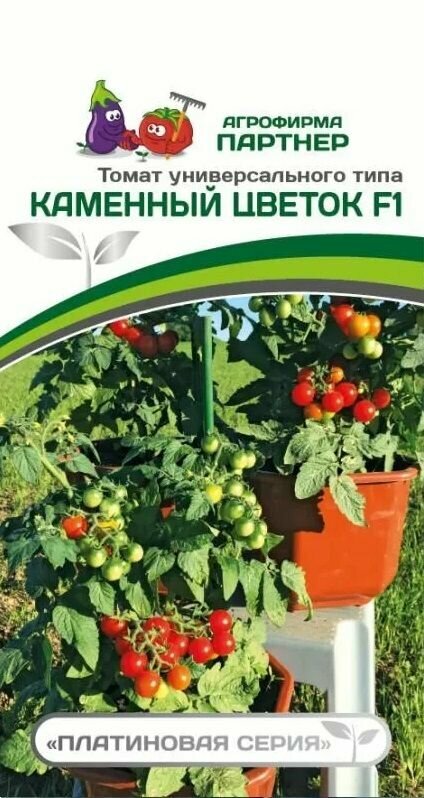 Томат черри Каменный цветок F1 семена Партнер  1 упаковка 5 шт семян 