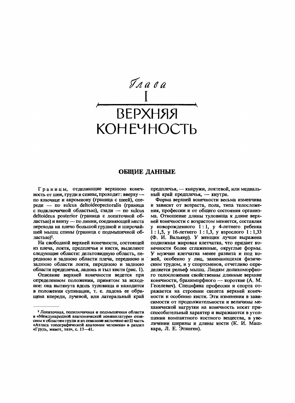 Атлас топографической анатомии человека - фото №3