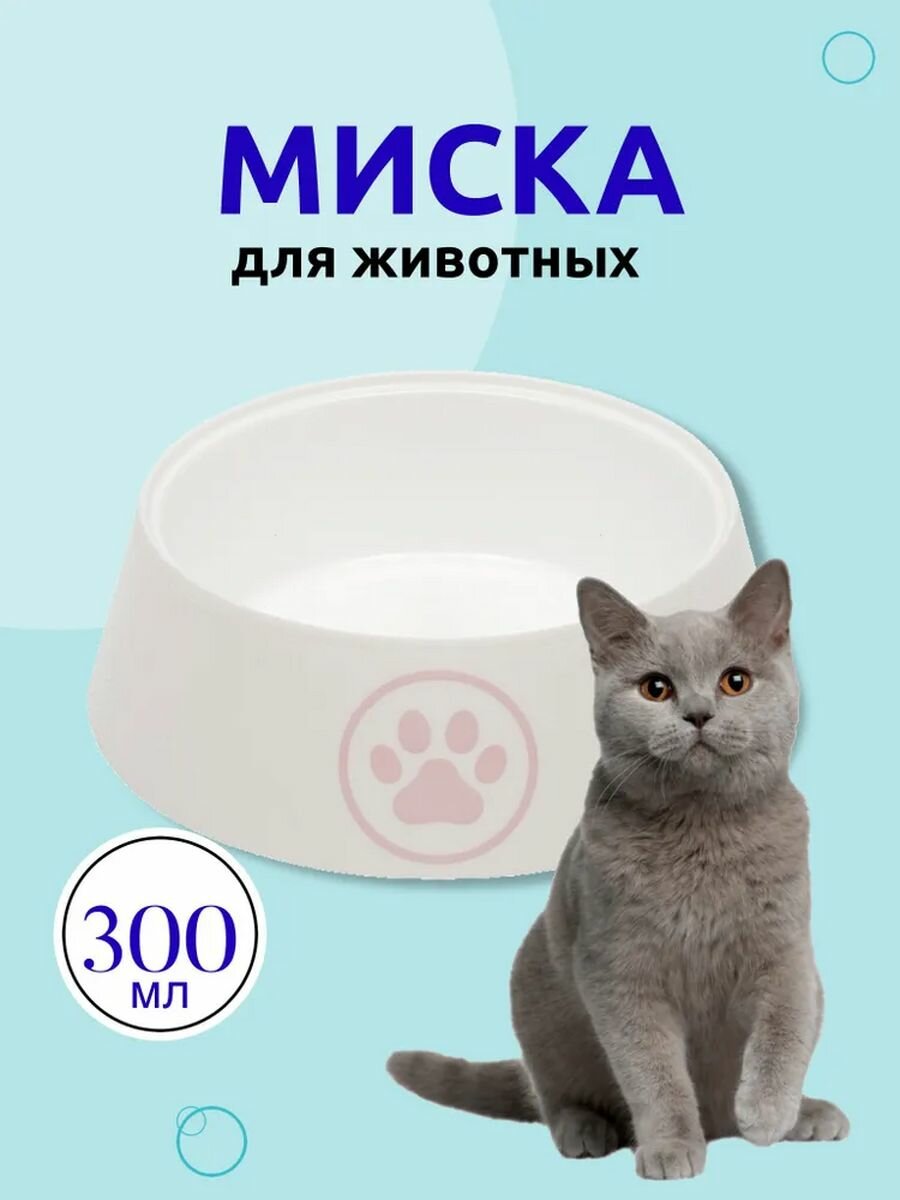 Миска для кошек Лекси 0.3 л, белый