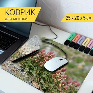 Коврик для мыши с принтом "Горные цветы, альпийская флора, флора" 25x20см.