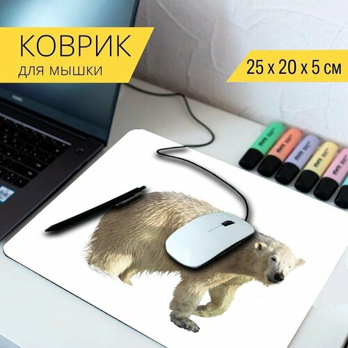 Коврик для мыши с принтом Icebear, животное, нести 25x20см. коврик для мыши с принтом зоопарк icebear животное 25x20см