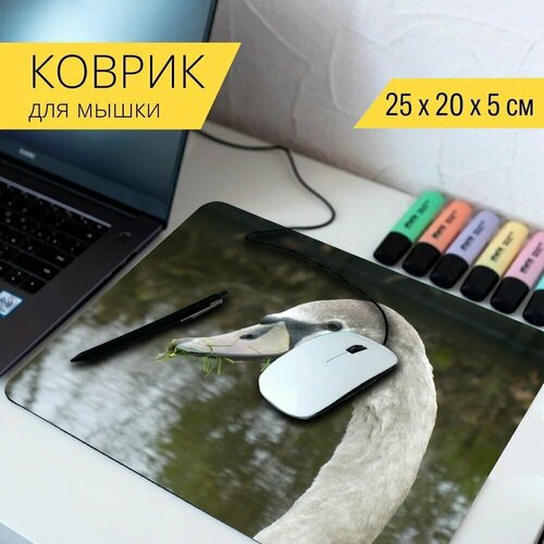 Коврик для мыши с принтом Cygnet, лебедь, птица 25x20см.