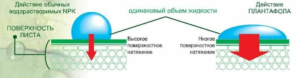 Valagro Плантафол 10.54.10 100 г (Ручная фасовка) - фотография № 7