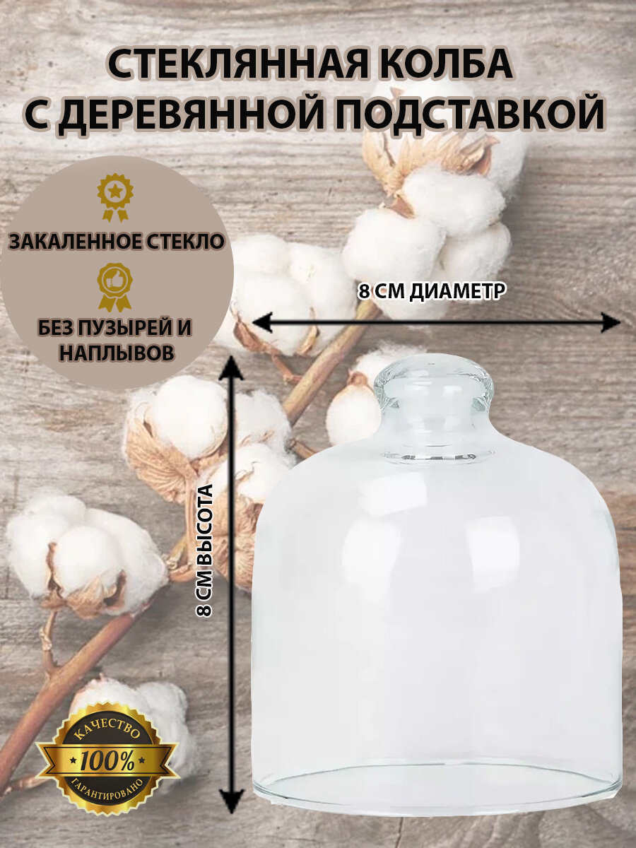 фото Колба стеклянная. Клош с подставкой, 8/8см