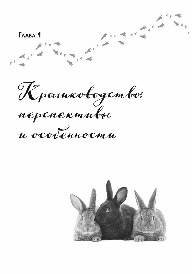 Разведение кроликов без ошибок. Руководство для начинающих фермеров
