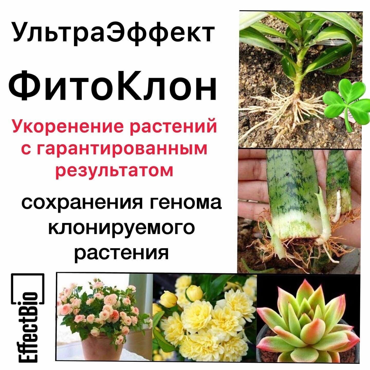 Фитоклон UltraEffect NewLife Гель укоренитель 60мл EffectBio - фото №8