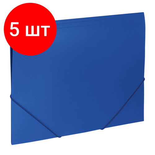 Комплект 5 шт, Папка на резинках BRAUBERG 