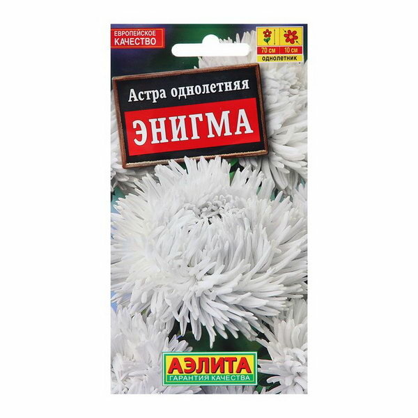 Семена Астра Энигма коготковая Одн Ц/П 0.2г вид: астра по форме куста: ампельная
