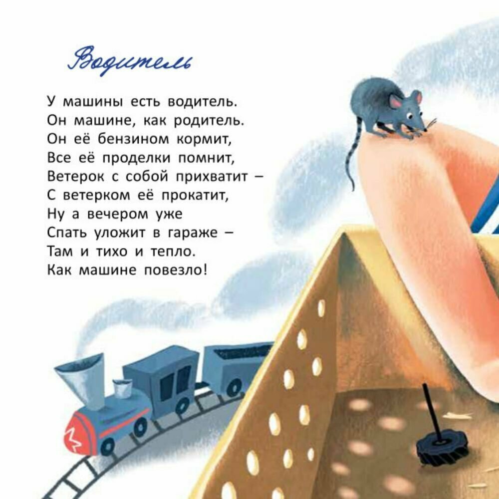 У машины есть водитель (Орлова Анастасия Александровна) - фото №13