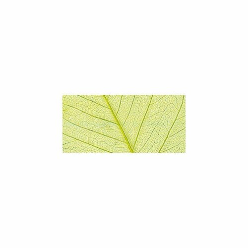Природный материал - Листья сухие для декора, цвет светло-зеленый, 1 упаковка декоративный элемент подвеска птичка с пером 10 х 7 см rayher 46357000