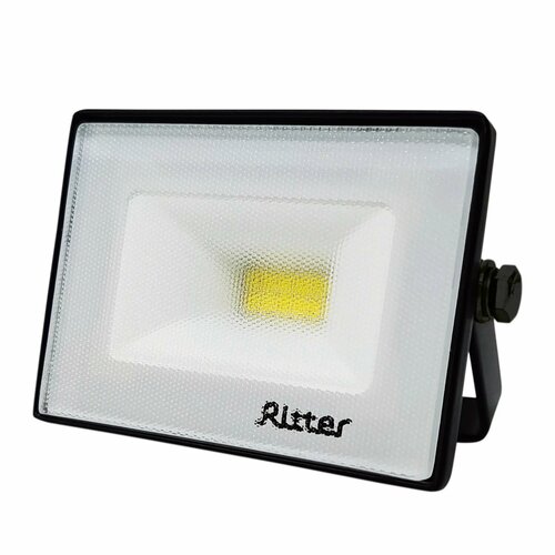 Прожектор светодиодный уличный Ritter Profi 10 Вт 2700К IP65 теплый белый свет