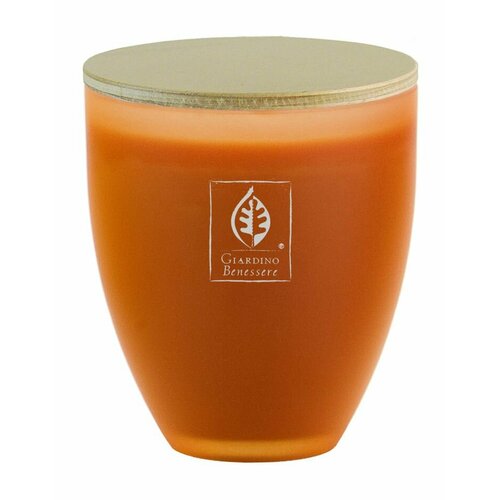 Giardino Benessere Янтарная свеча 8610₽