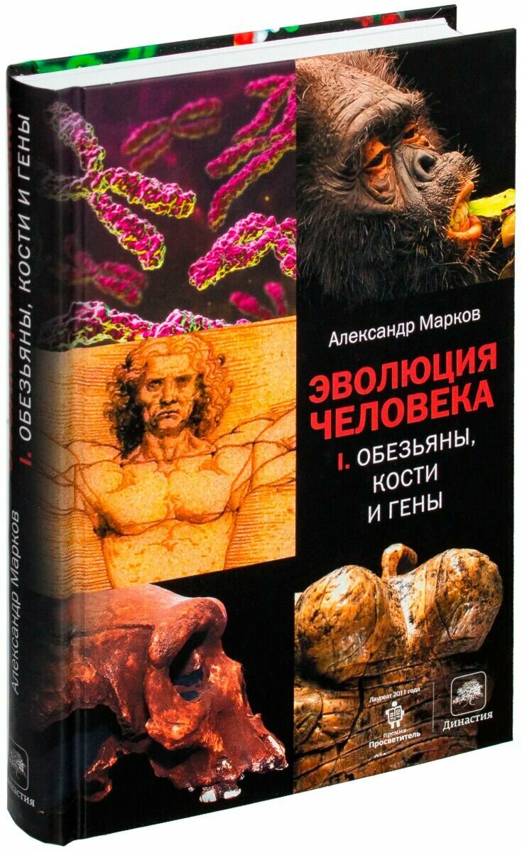 Эволюция человека. Книга 1. Обезьяны, кости и гены - фото №6