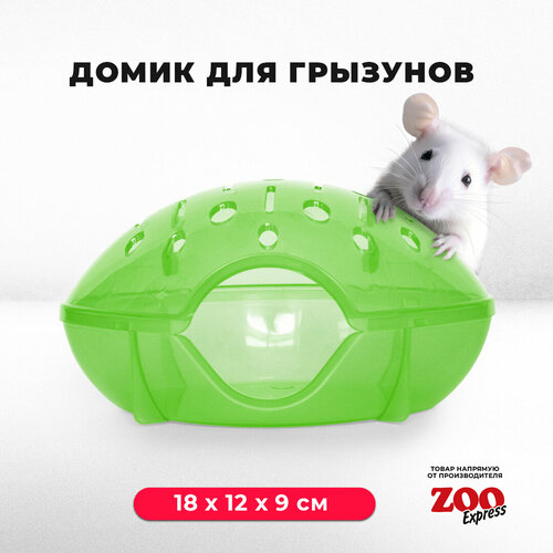 Домик ZOOexpress для грызунов, хомяков, крыс и мышей, 18х12х9 см, без дверцы, зеленый