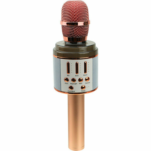 Микрофон караоке K068 Magic Karaoke c Bluetooth, rose gold