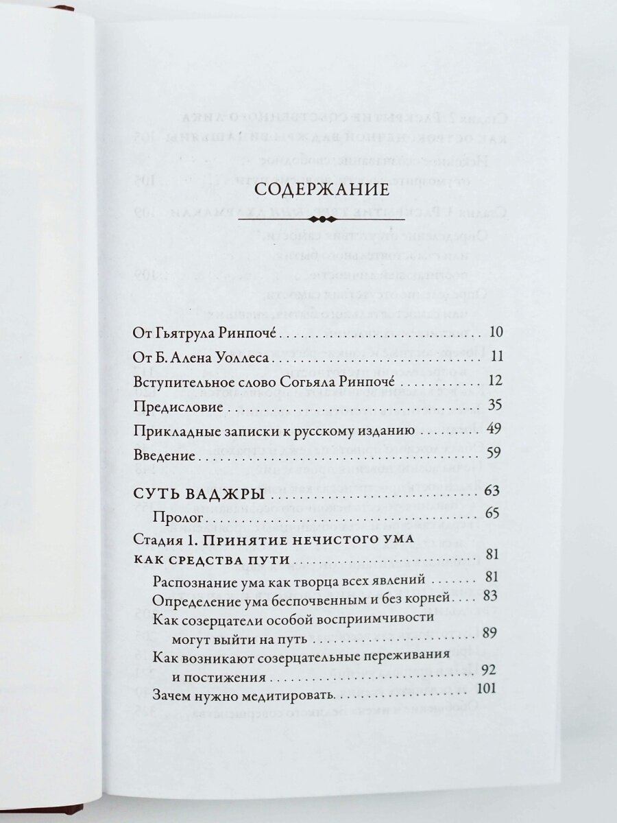 Суть ваджры. Провидческие откровения Великого совершенства Дуджома Лингпы. Том 3 - фото №6